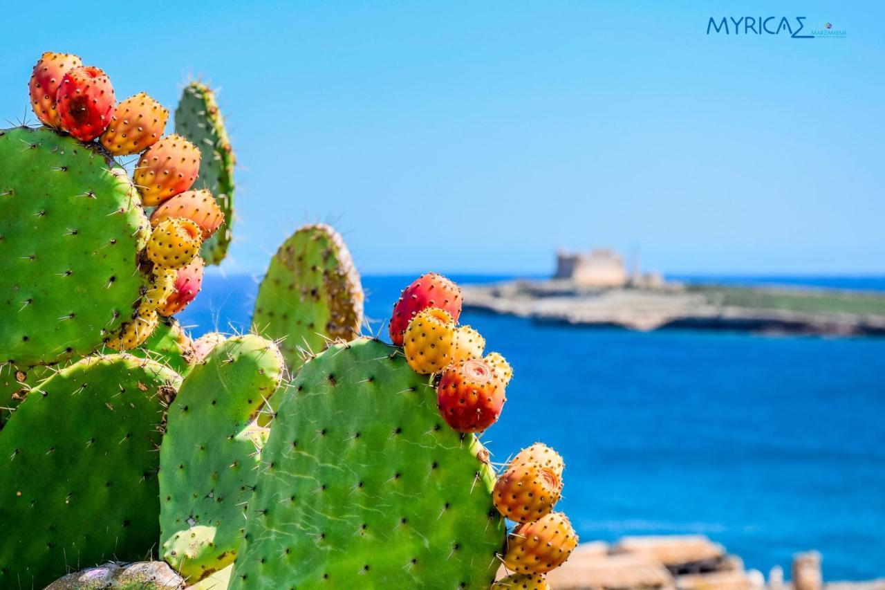 Myricae Marzamemi Ospitalita Siciliana Daire Dış mekan fotoğraf